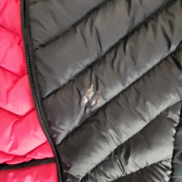 Jacket - Picture 4 of 4